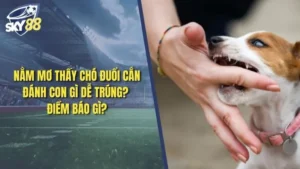 Nằm mơ thấy chó đuổi cắn đánh con gì