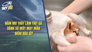 nằm mơ thấy làm thịt gà đánh số mấy