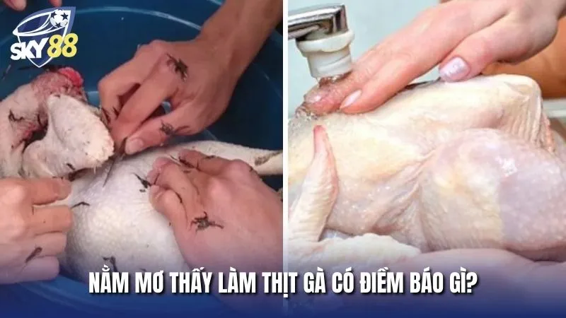 Chiêm bao thấy làm thịt gà là điềm lành hay dữ?