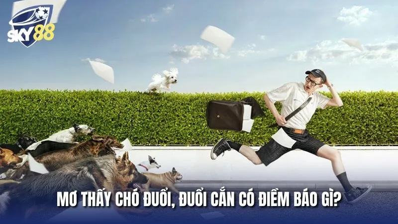 Giấc mơ thấy chó đuổi cắn mang nhiều ý nghĩa