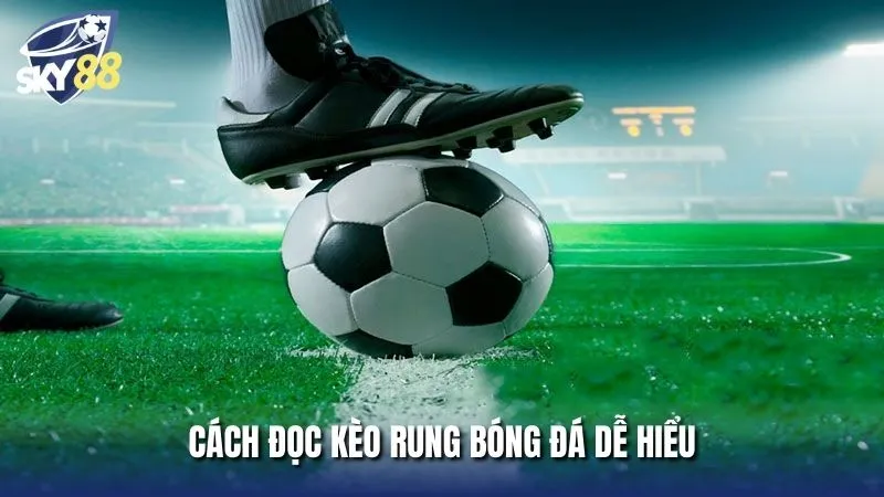 Hướng dẫn chi tiết cách đọc đèo rung chuẩn